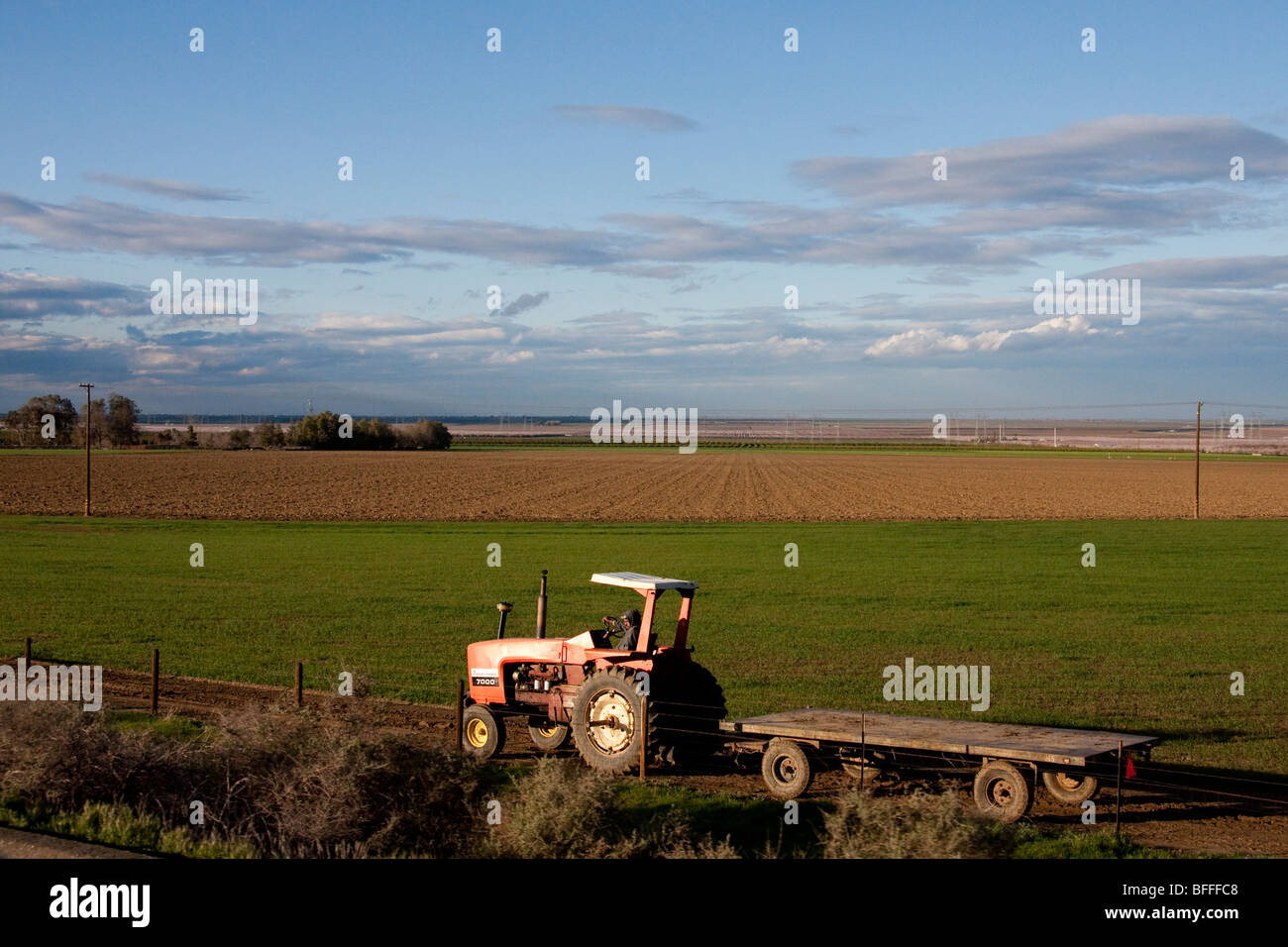 Un champ de travail du tracteur dans la Central Valley, Californie Banque D'Images