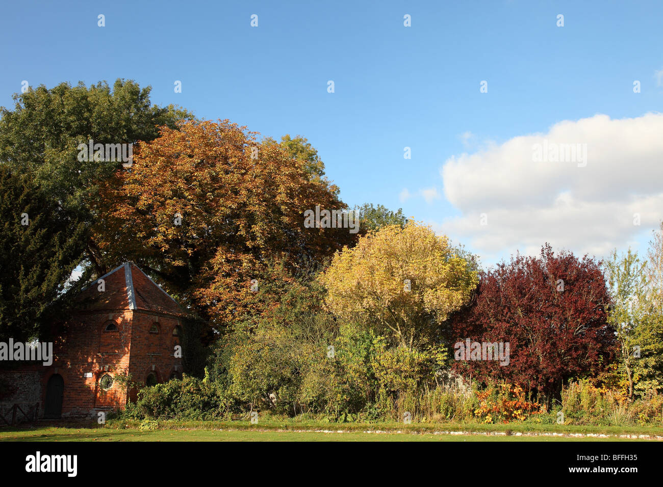 Les arbres d'Automne Couleurs Littlecote House gardens Angleterre Berkshire Banque D'Images