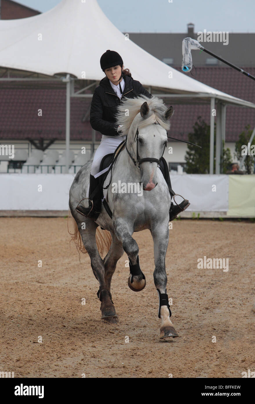 Sport équestre Banque D'Images