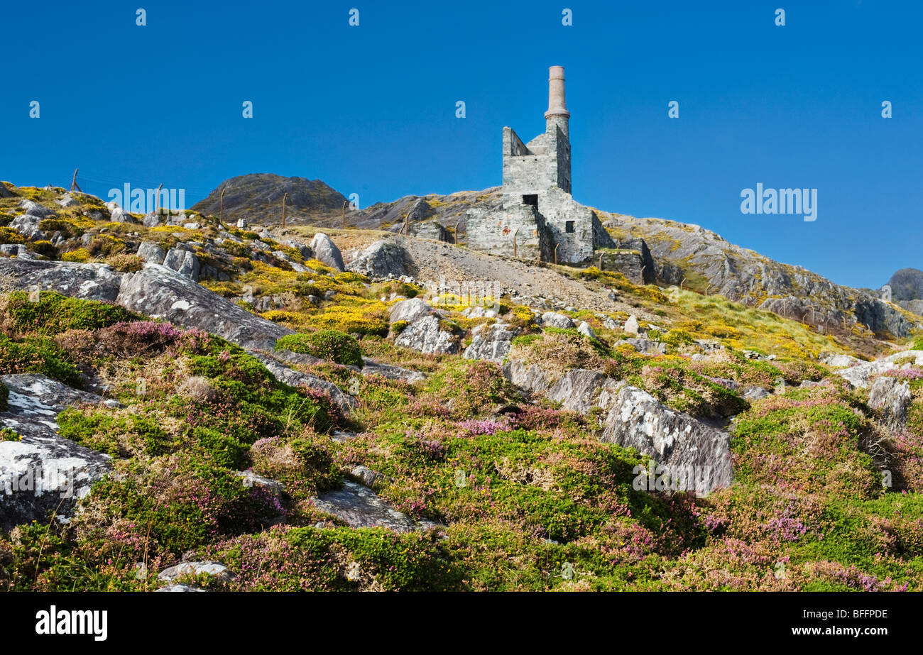 Mountain mine, une maison de moteur de Cornouailles abandonnée du XIXe siècle anciennement utilisée pour l'extraction de cuivre à Allihies, dans la péninsule de Beara, dans le comté de Cork, en Irlande Banque D'Images