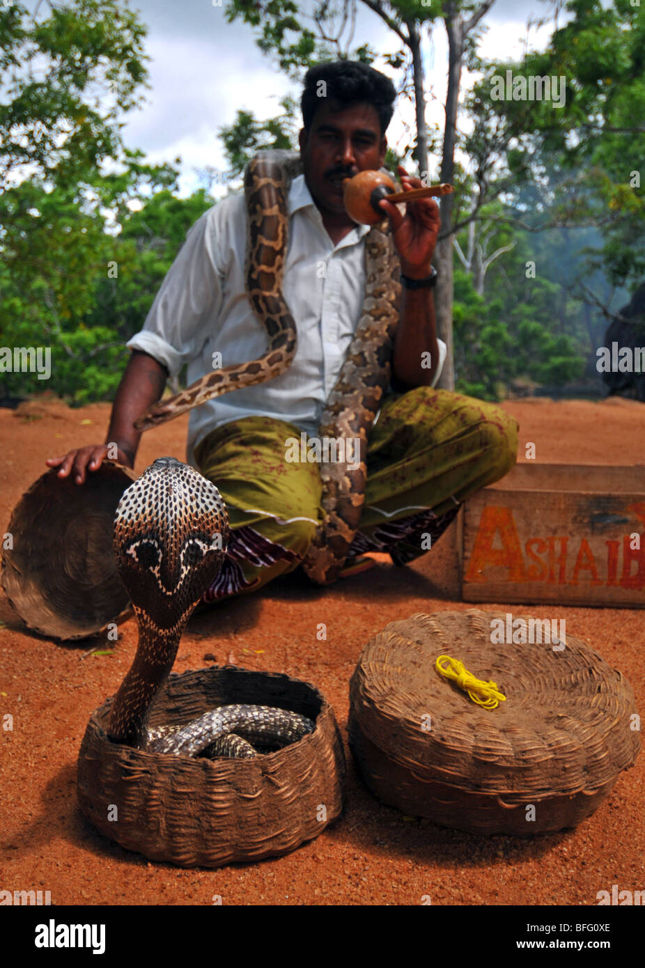 Charmeur de serpent, le Sri lanka, Sri-Lankais charmeur de serpent Banque D'Images