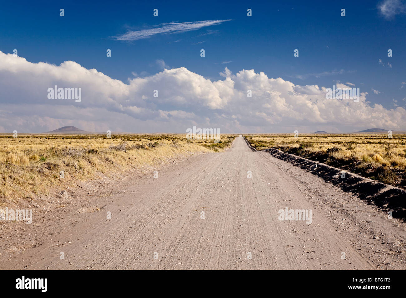 Ex Ruta 40 entre San Rafael et Malargue, Province de Mendoza, Argentine Banque D'Images