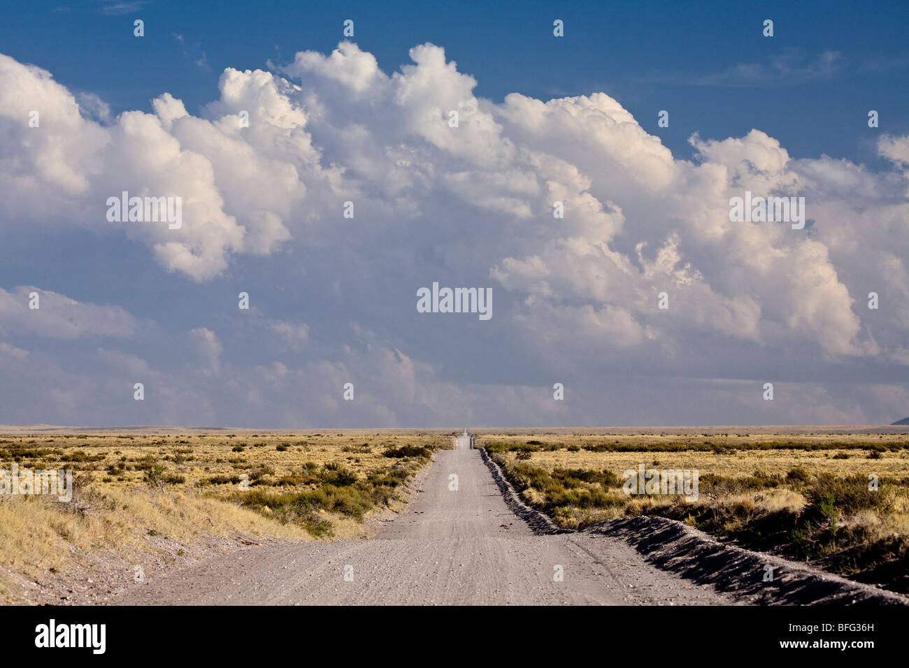 Ex Ruta 40 entre San Rafael et Malargue, Province de Mendoza, Argentine Banque D'Images