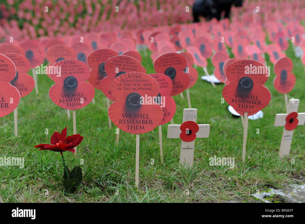 Des milliers de coquelicots de papier le jour du Souvenir à Ypres, maintenant appelé en Flandre Belgique lépreux Banque D'Images