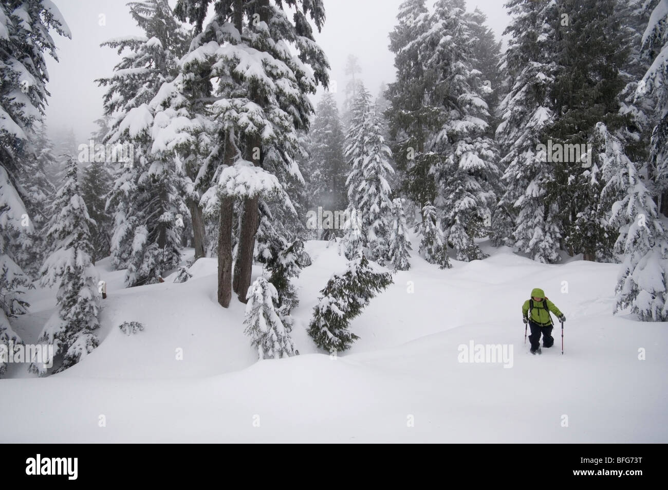 Womansnowshoeing les jeunes sur le sentier du lac d'abord à Seymour Mountain. North Vancouver, Colombie-Britannique, Canada Banque D'Images
