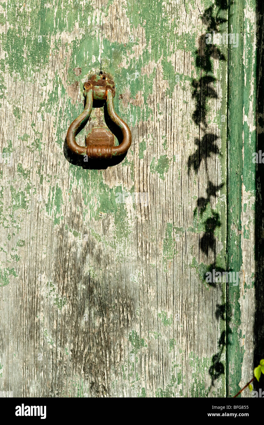 Ombre de vigne qui tombent sur une vieille porte vert pâle avec poignée de porte rouillée, Ravello, Côte Amalfitaine, Italie Banque D'Images