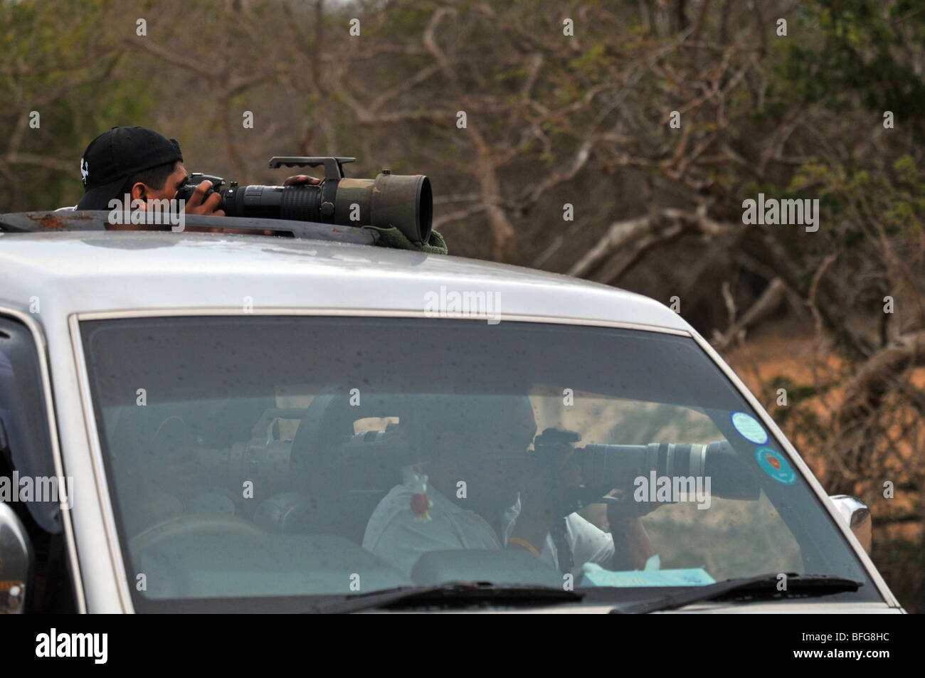 Photographes des téléobjectifs travaillant à partir d'un véhicule sur un safari Banque D'Images