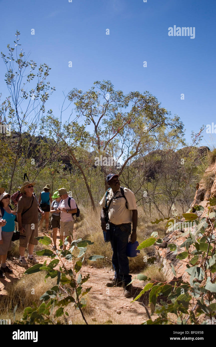 Jimmy Coombes, d' indigènes giude dans la gamme des Bungle Bungle le Parc National de Purnululu Australie Occidentale Banque D'Images