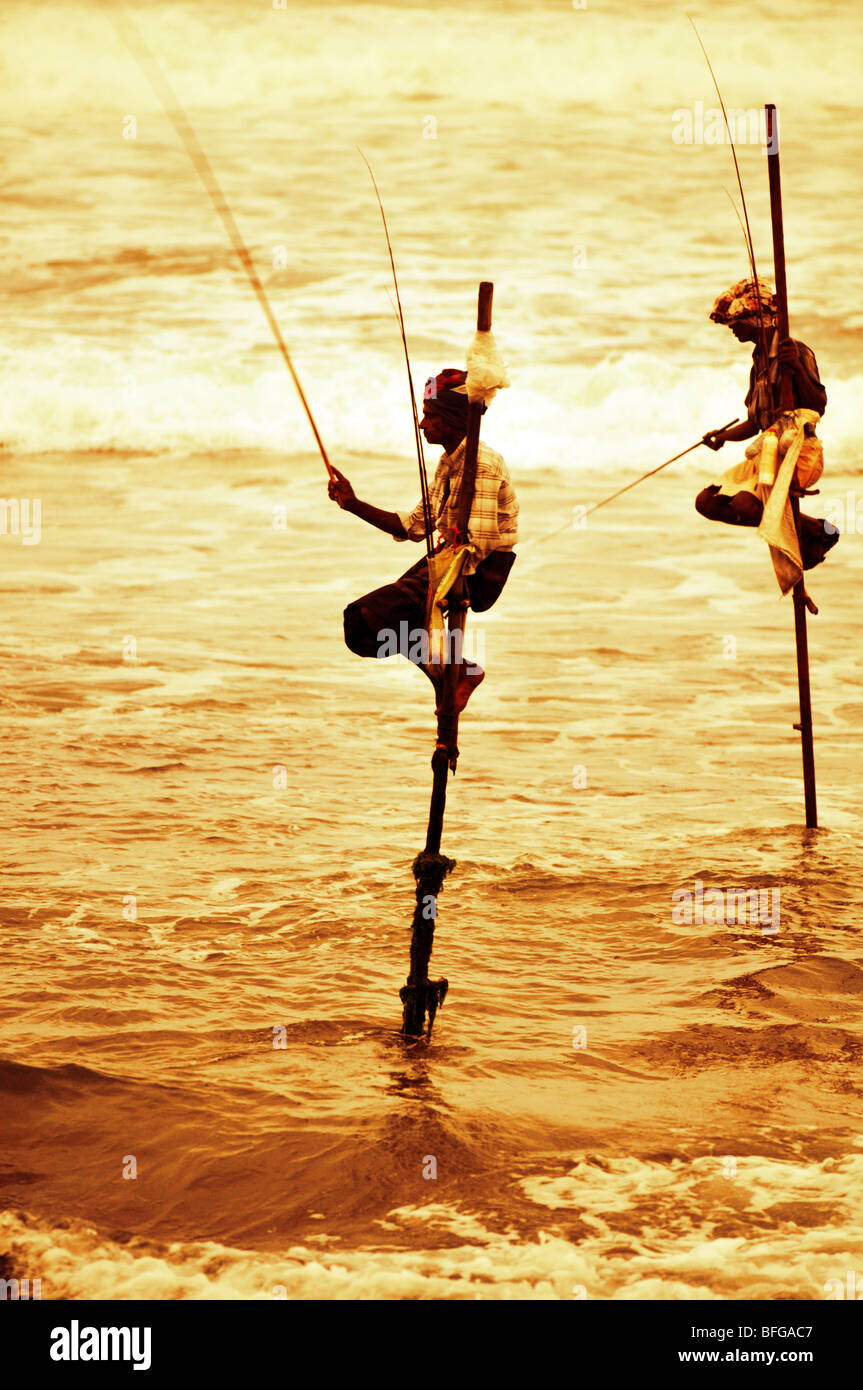 Les pêcheurs sur échasses, Sri Lanka, pêcheur à l'échasse traditionnel Kogalla, Sri Lanka, sri-lankais de pêche sur pilotis Banque D'Images