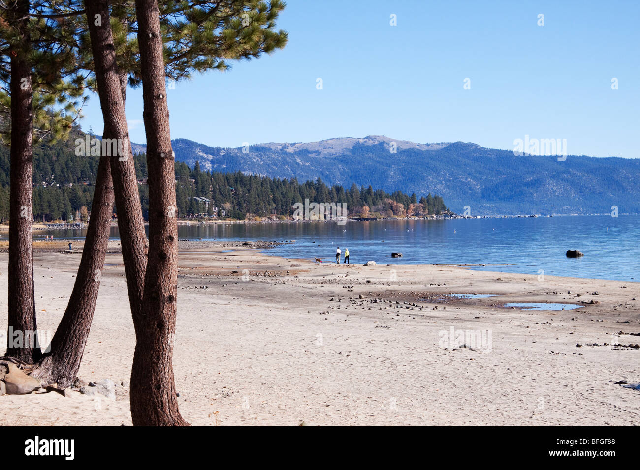 Couple et leur chien marcher sur la plage à Kings Beach, Lake Tahoe, California Banque D'Images