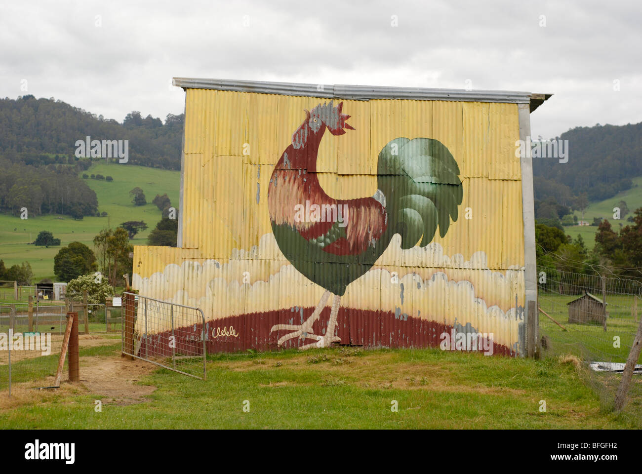 Coq peint sur hay shed dans les escadres Wildlife Park, la Tasmanie. Banque D'Images