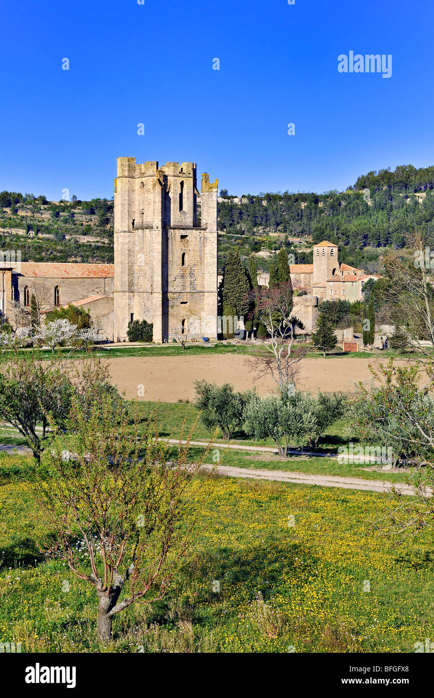Sainte Marie d'Orbieu abbaye de Lagrasse, France. Banque D'Images