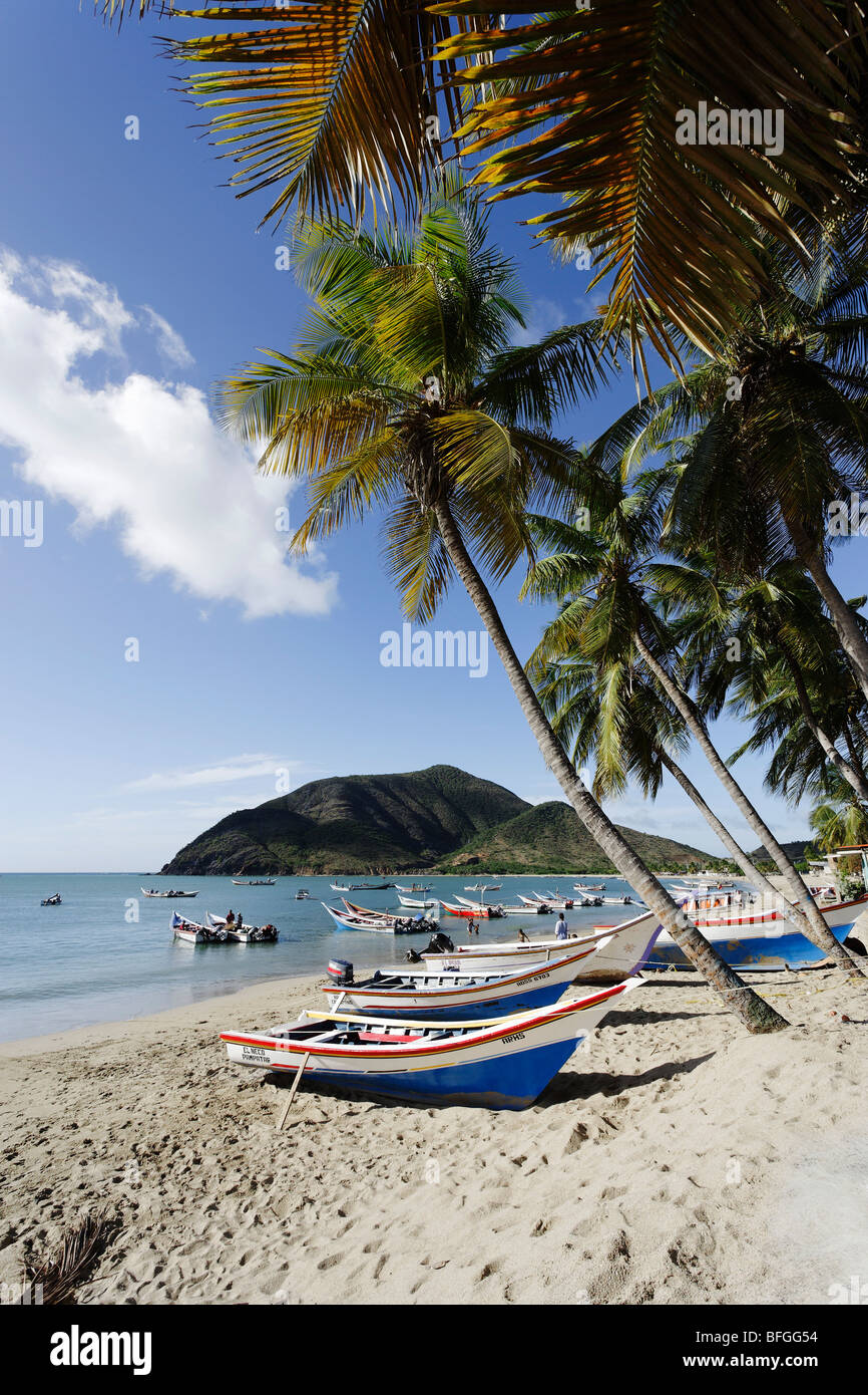 Des bateaux de pêche à Playa Galera, Juangriego, Isla Margarita, Venezuela, Nueva Esparta Banque D'Images