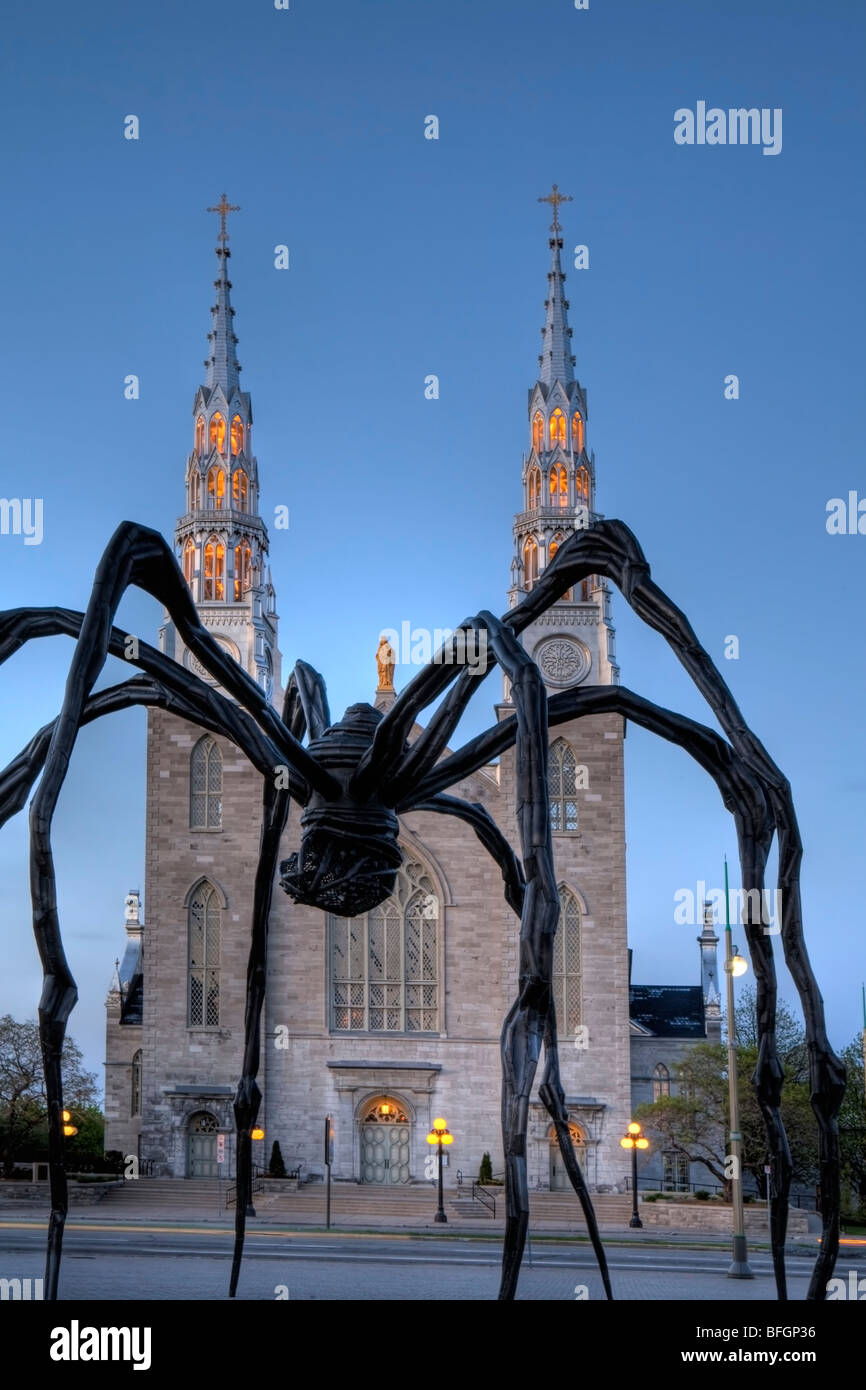La Cathédrale Notre Dame de la National Art Gallery, Ottawa, Ontario, Canada Banque D'Images