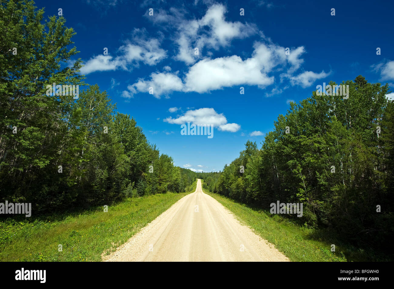 Route de campagne à travers la forêt boréale. Le Parc provincial Duck Mountain, Manitoba, Canada Banque D'Images