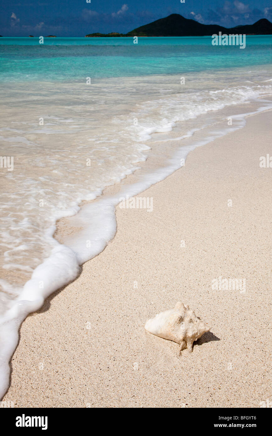 Ffyres Bay, Antigua avec coquillage et Pearns Point de l'horizon Banque D'Images