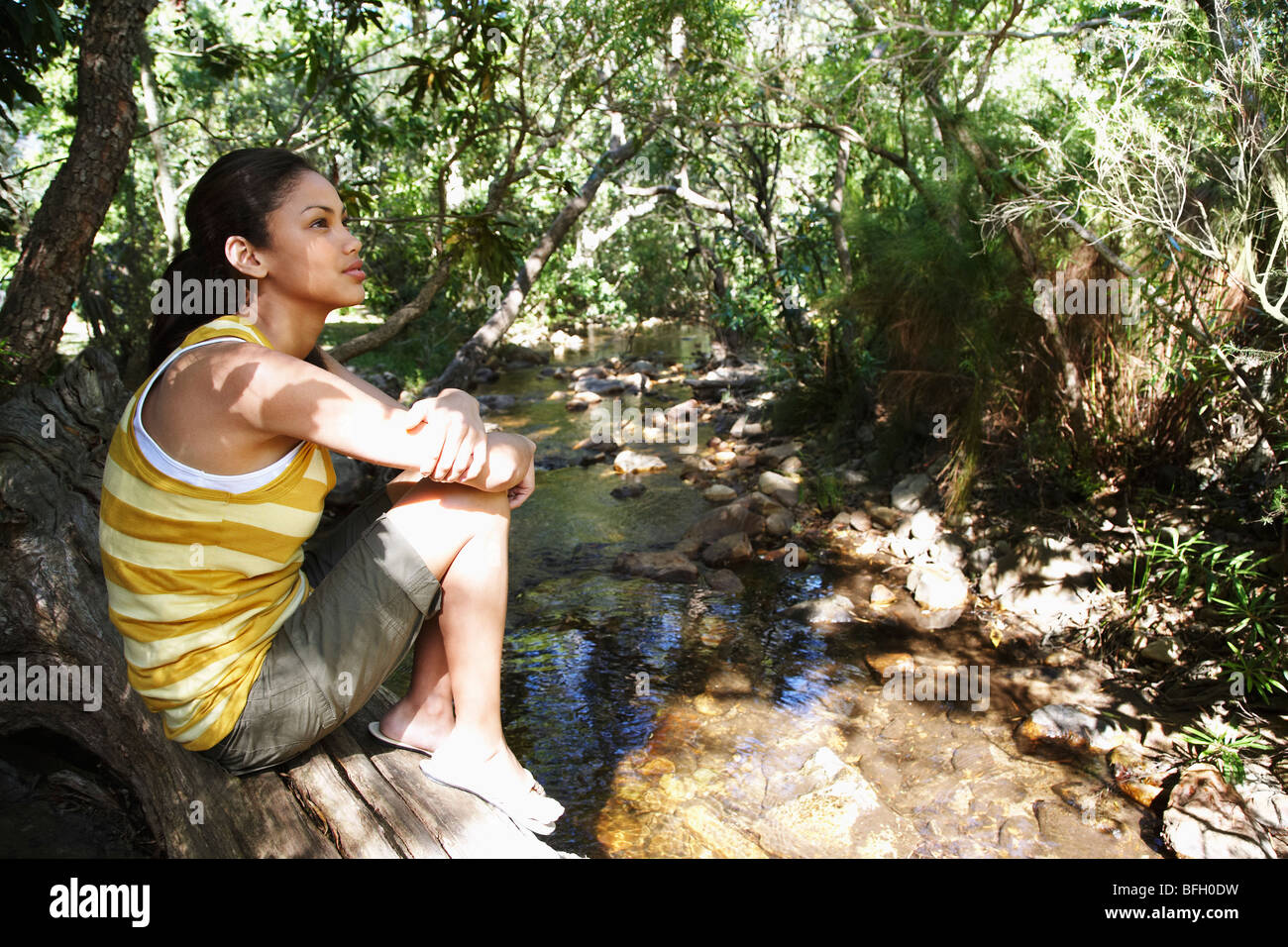 Teenage girl (16-17 ans) sitting on tree trunk par stream in forest Banque D'Images