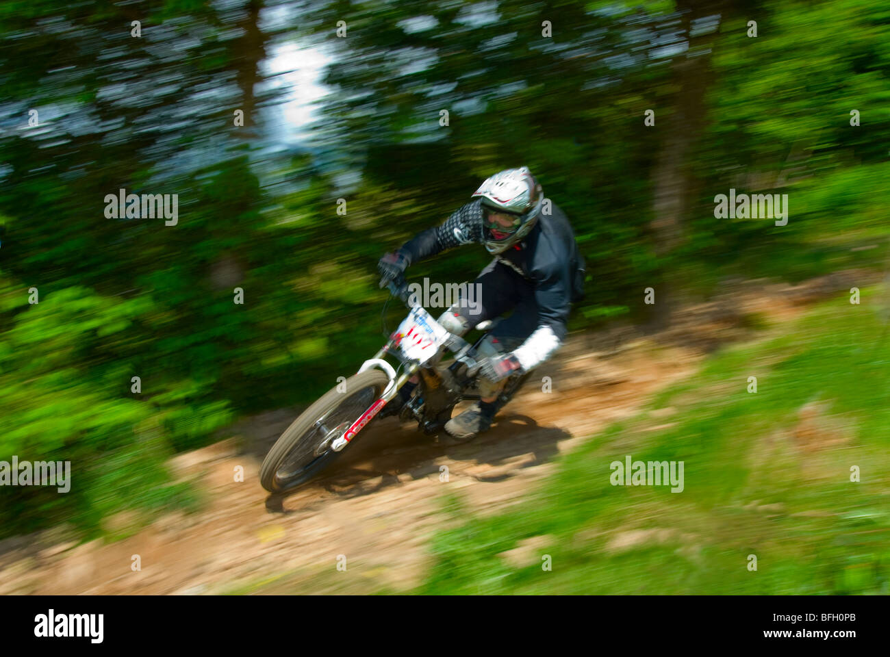 Rider dans les séries de points course vtt de descente en forêt Ae Ecosse Banque D'Images