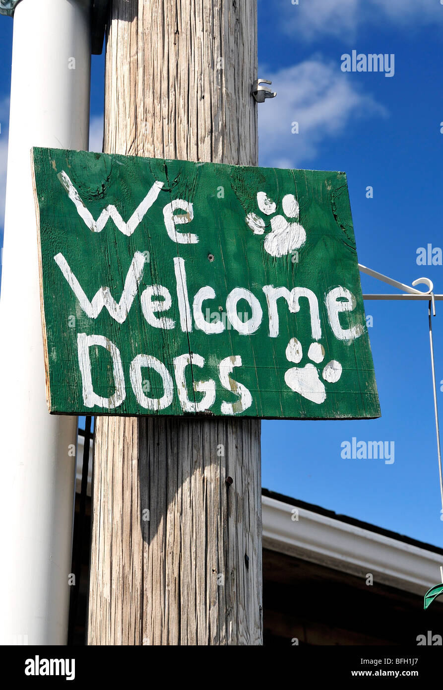 Un panneau vert dit "Nous nous félicitons des chiens à Bar Harbor, Mt. Desert Island, Maine, USA Banque D'Images