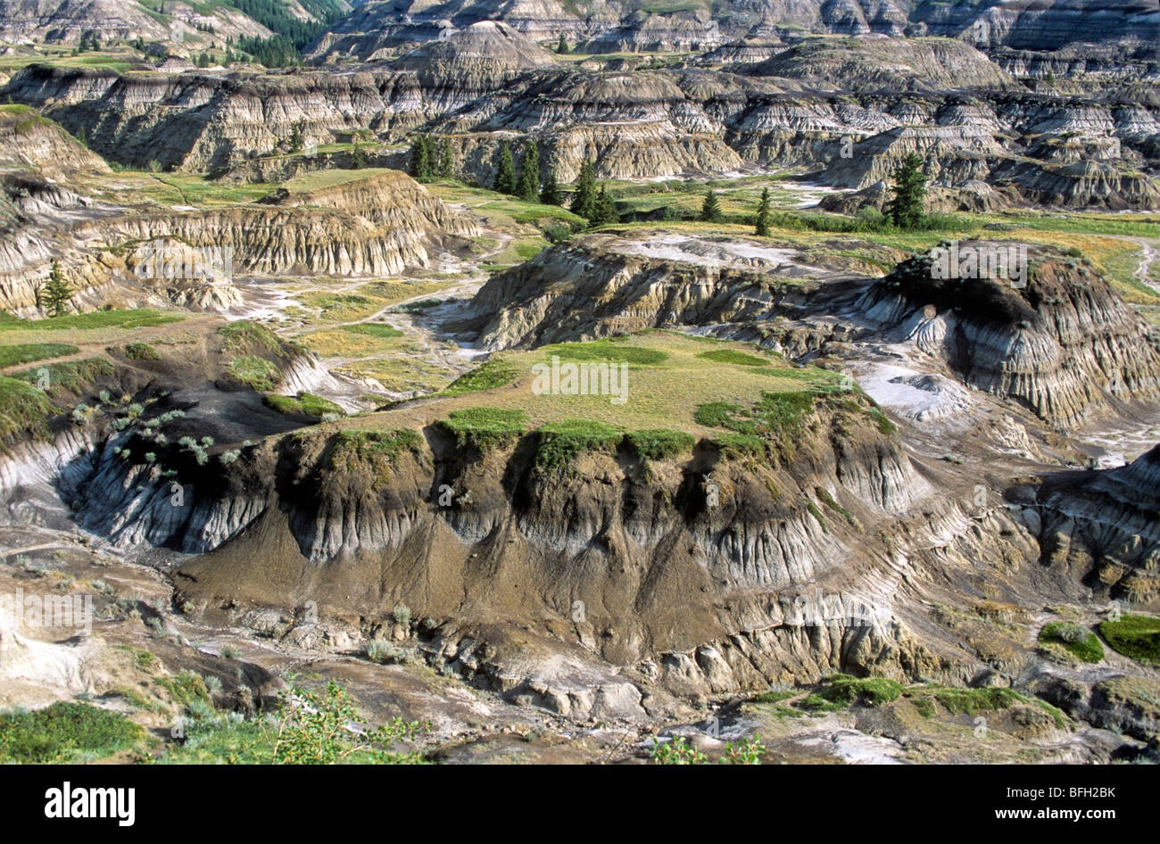 La Dinosaur Trail, Badlands, Drumheller, Alberta, Canada Banque D'Images