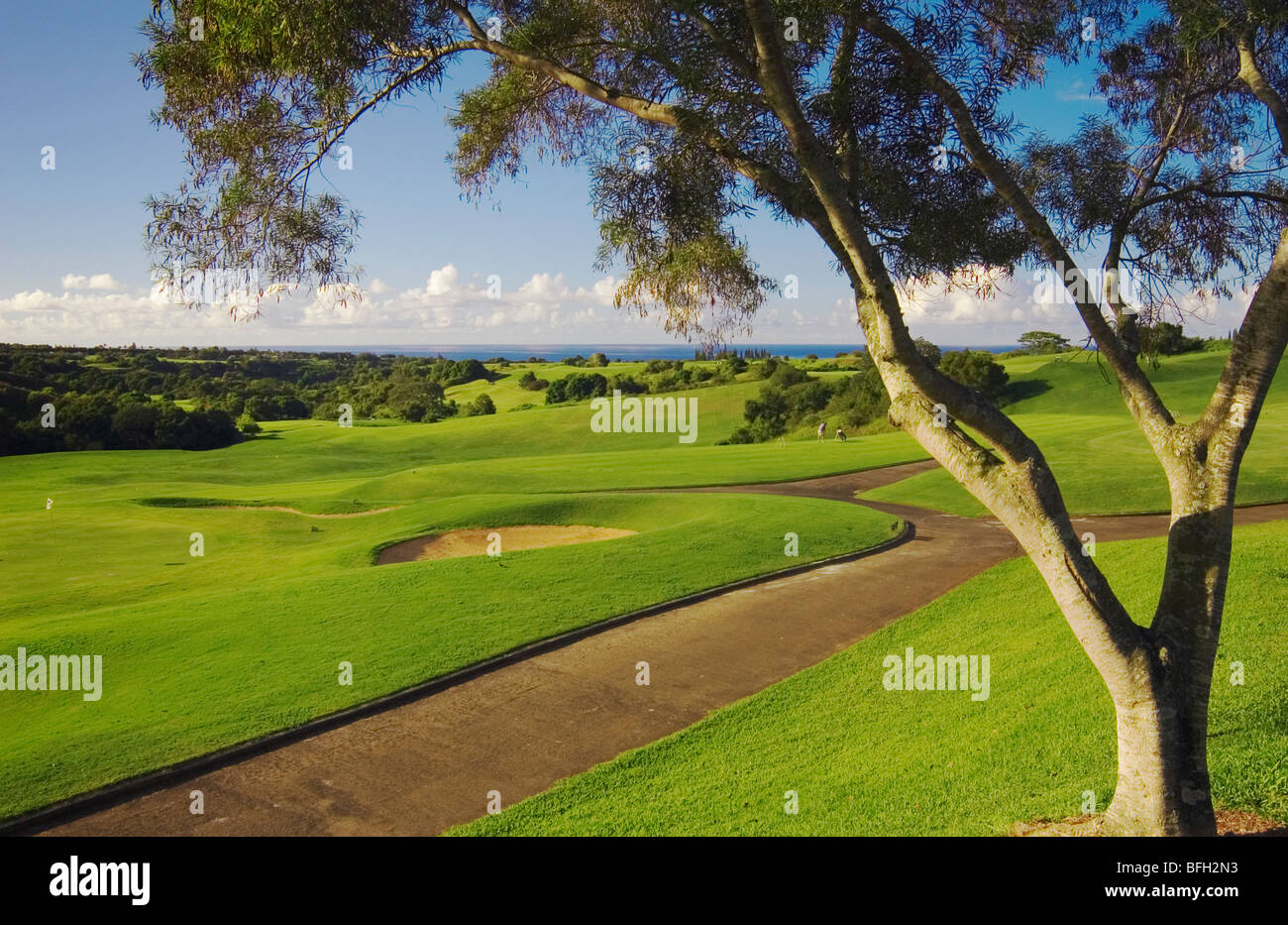 Princeville Resort de golf : Le Prince cours, conçu par Robert Trent Jones, Jr. ; Kauai, Hawaii. Banque D'Images