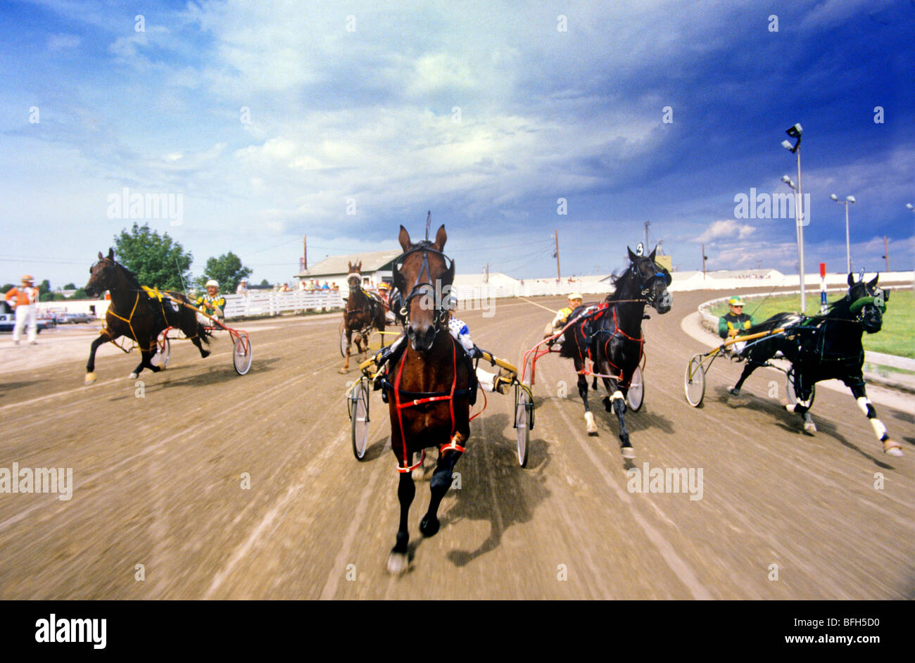 Harness Racing au Charlottetown Driving Park, Prince Edward Island, Canada Banque D'Images