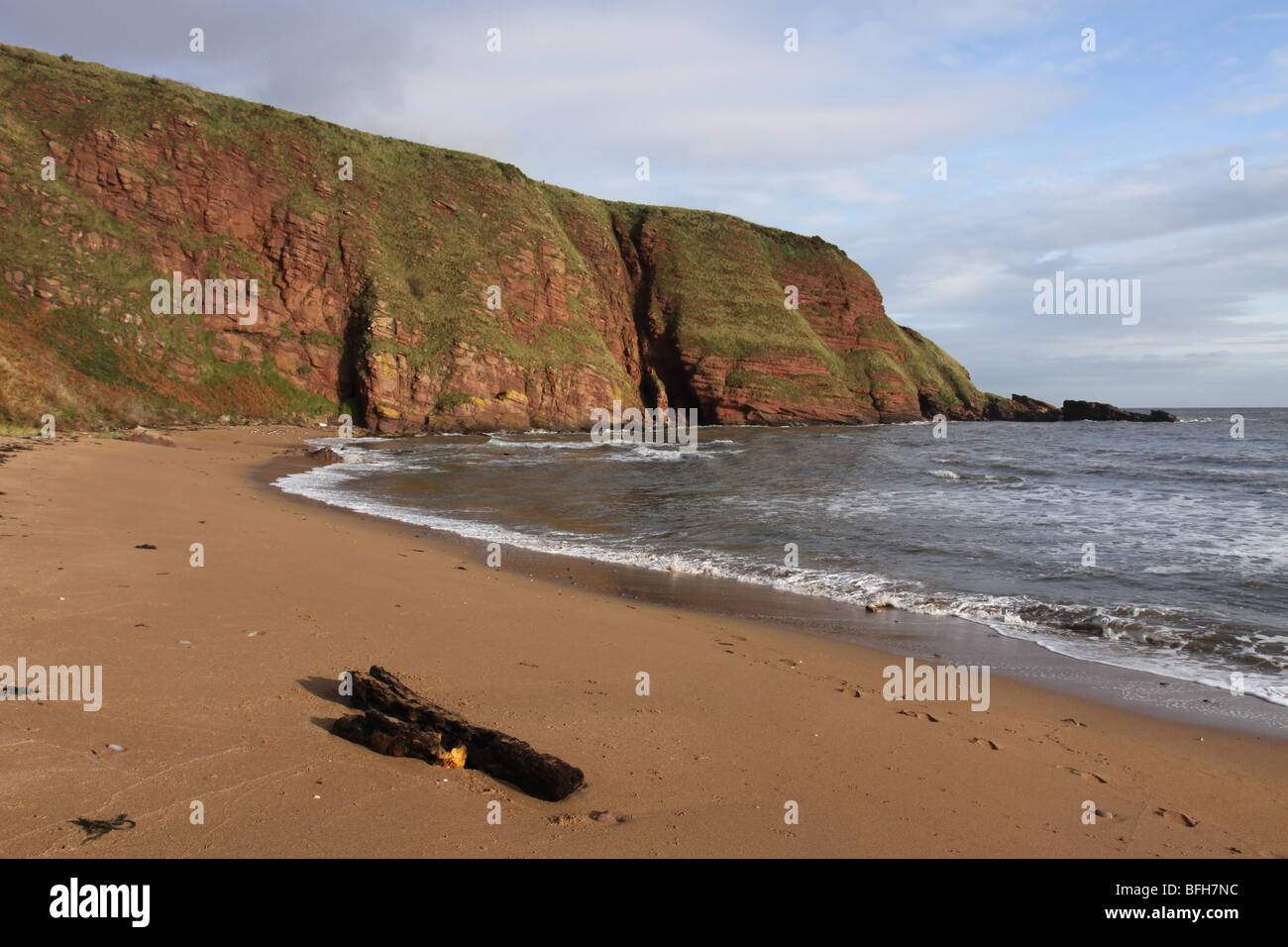 Les falaises en grès rouge et le sable doré de la Baie d'Carlingheugh Angus Scotland Novembre 2009 Banque D'Images