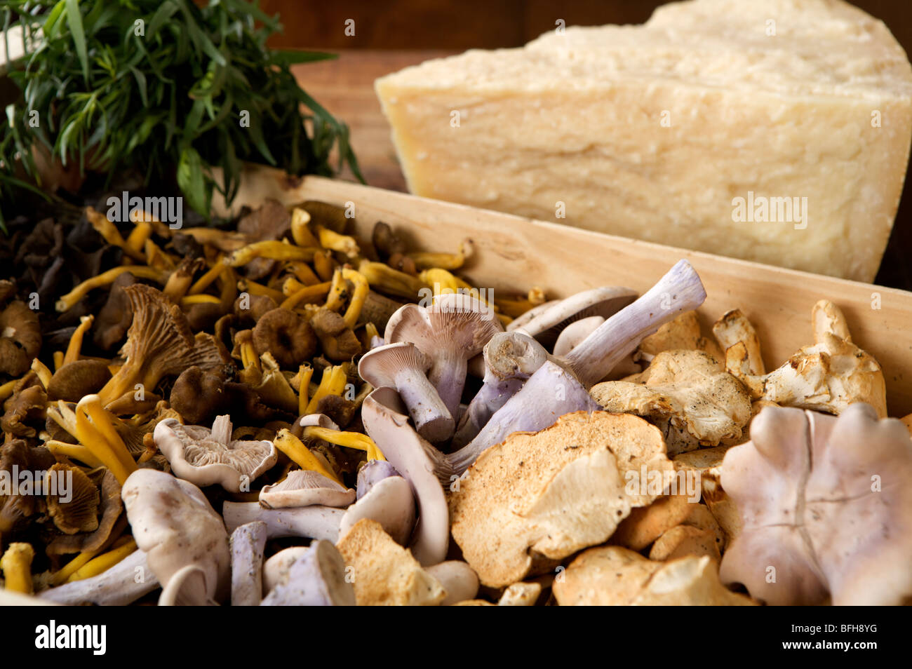 Les champignons sauvages, fromage et fines herbes Banque D'Images