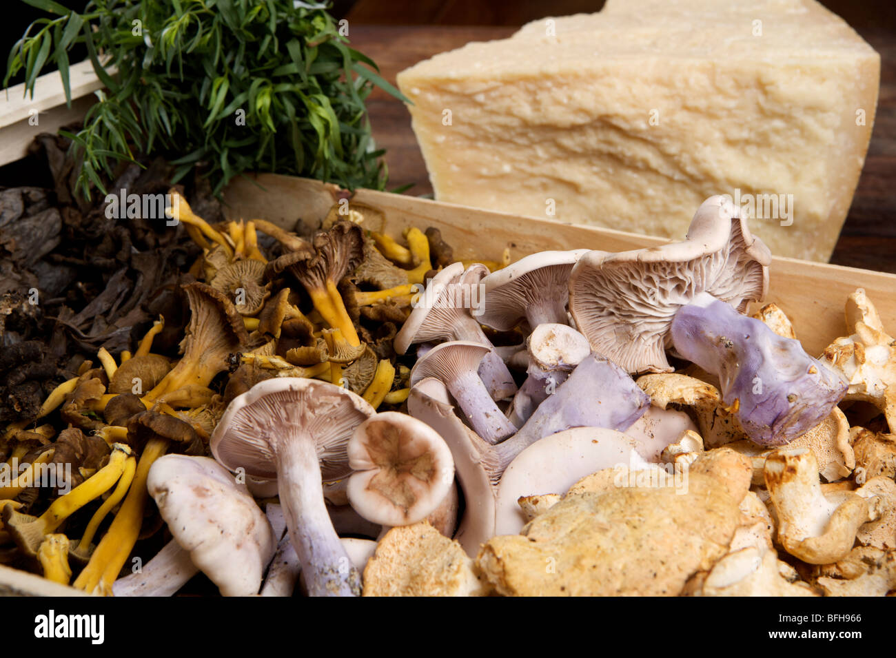 Les champignons sauvages, fromage et fines herbes Banque D'Images