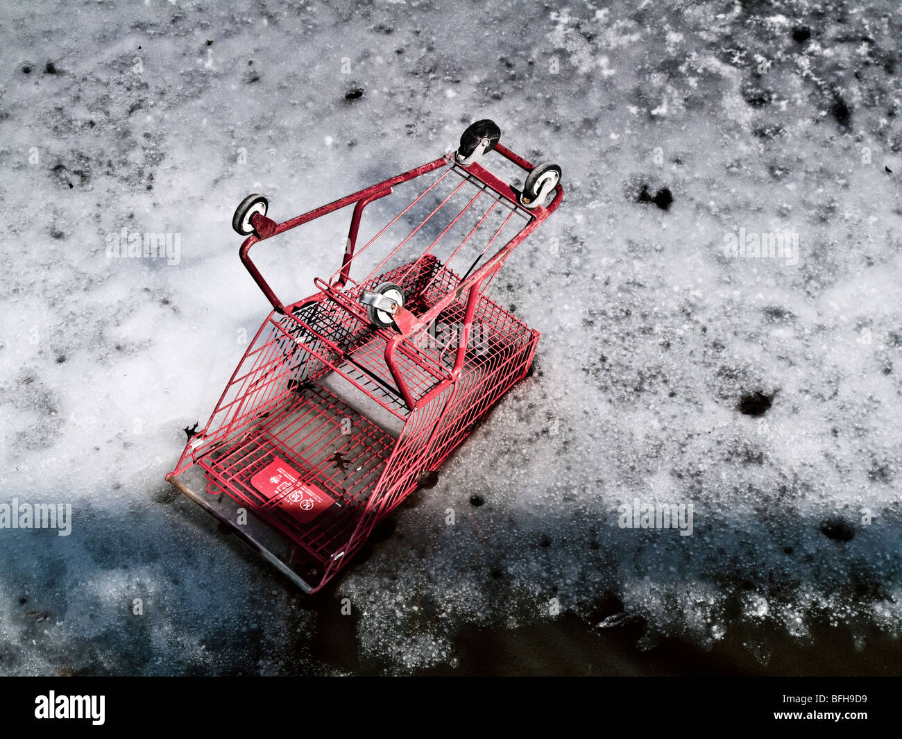 Rouge panier pris dans la glace Banque D'Images