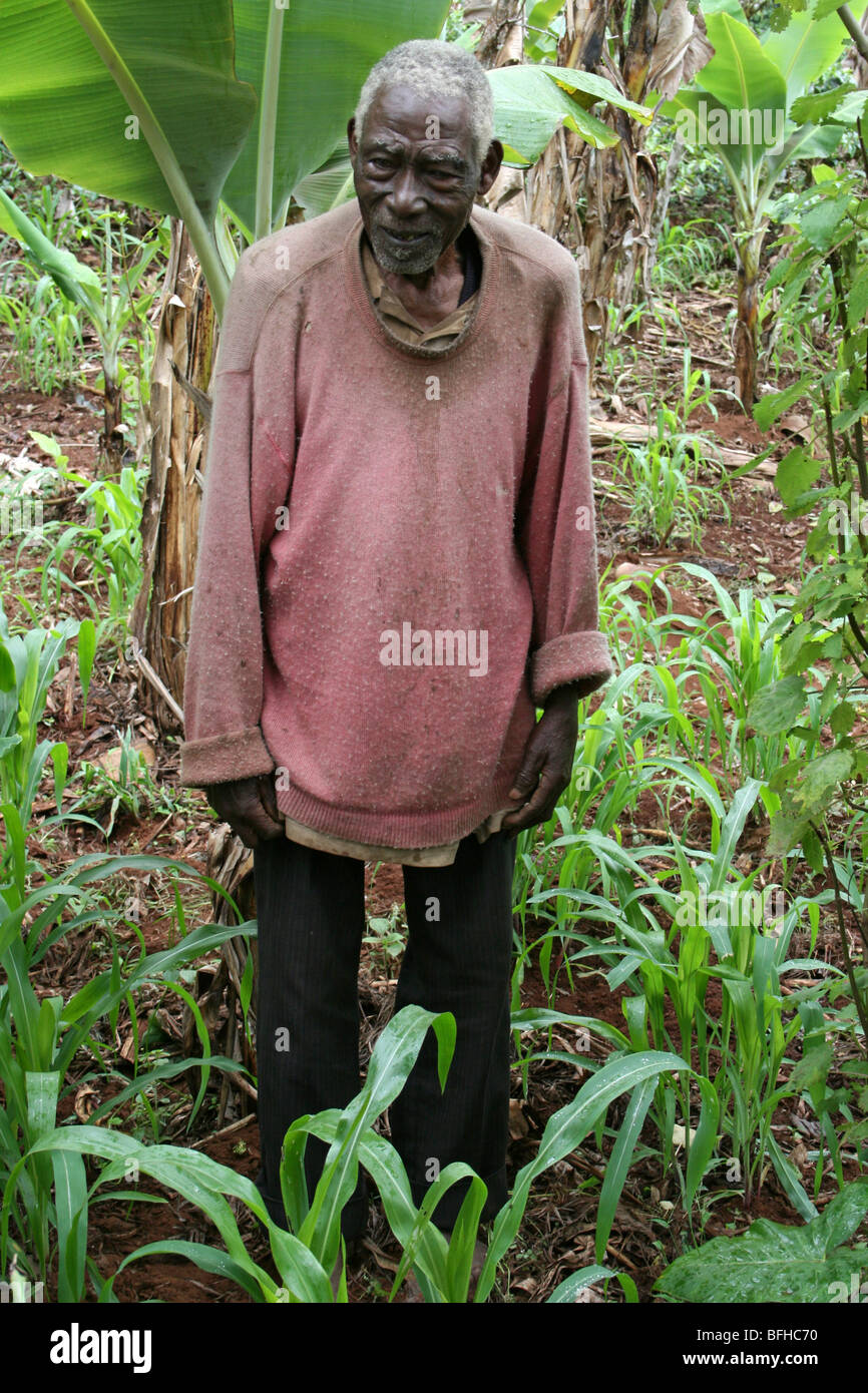 Chagga Tribe Elder Dans Nkuu Ndoo Village, Kilimandjaro, Tanzanie Foothills Banque D'Images