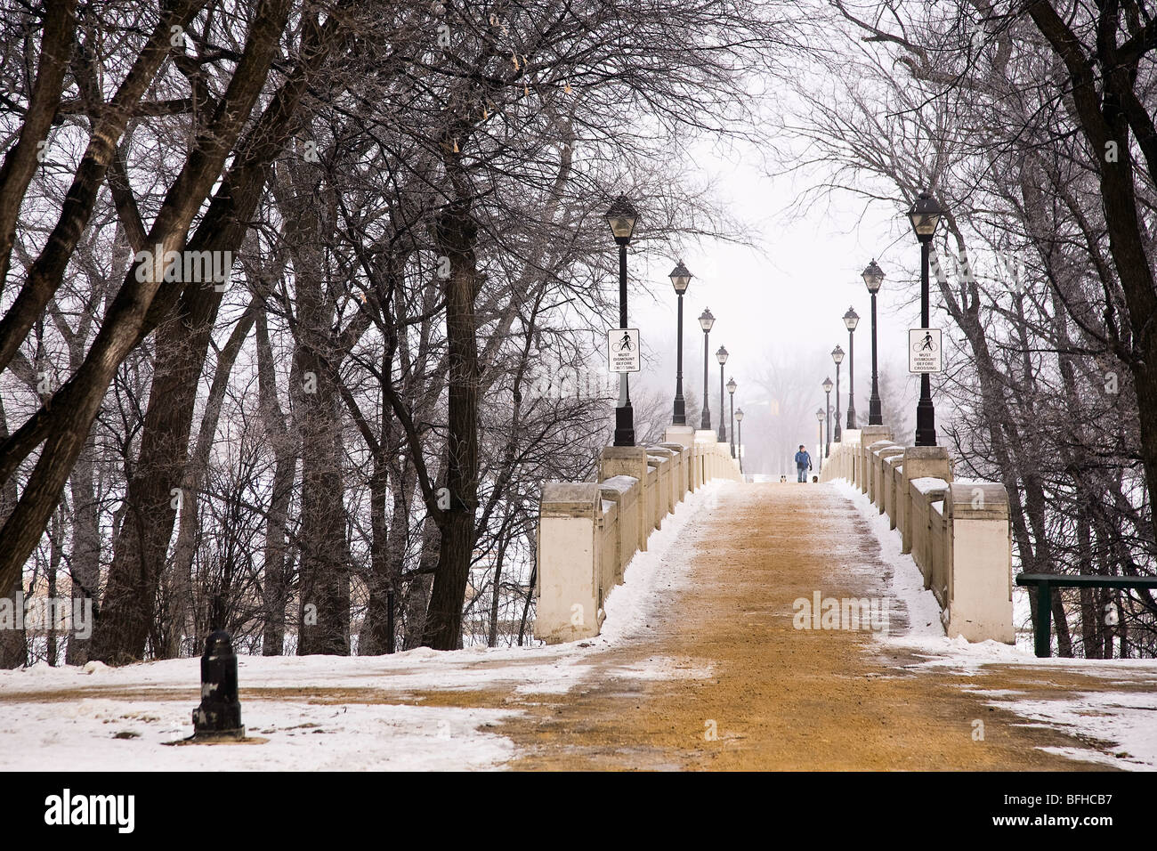 Passerelle du Parc Assiniboine fraîchement poncé sur matin d'hiver brumeux. Winnipeg, Manitoba, Canada. Banque D'Images