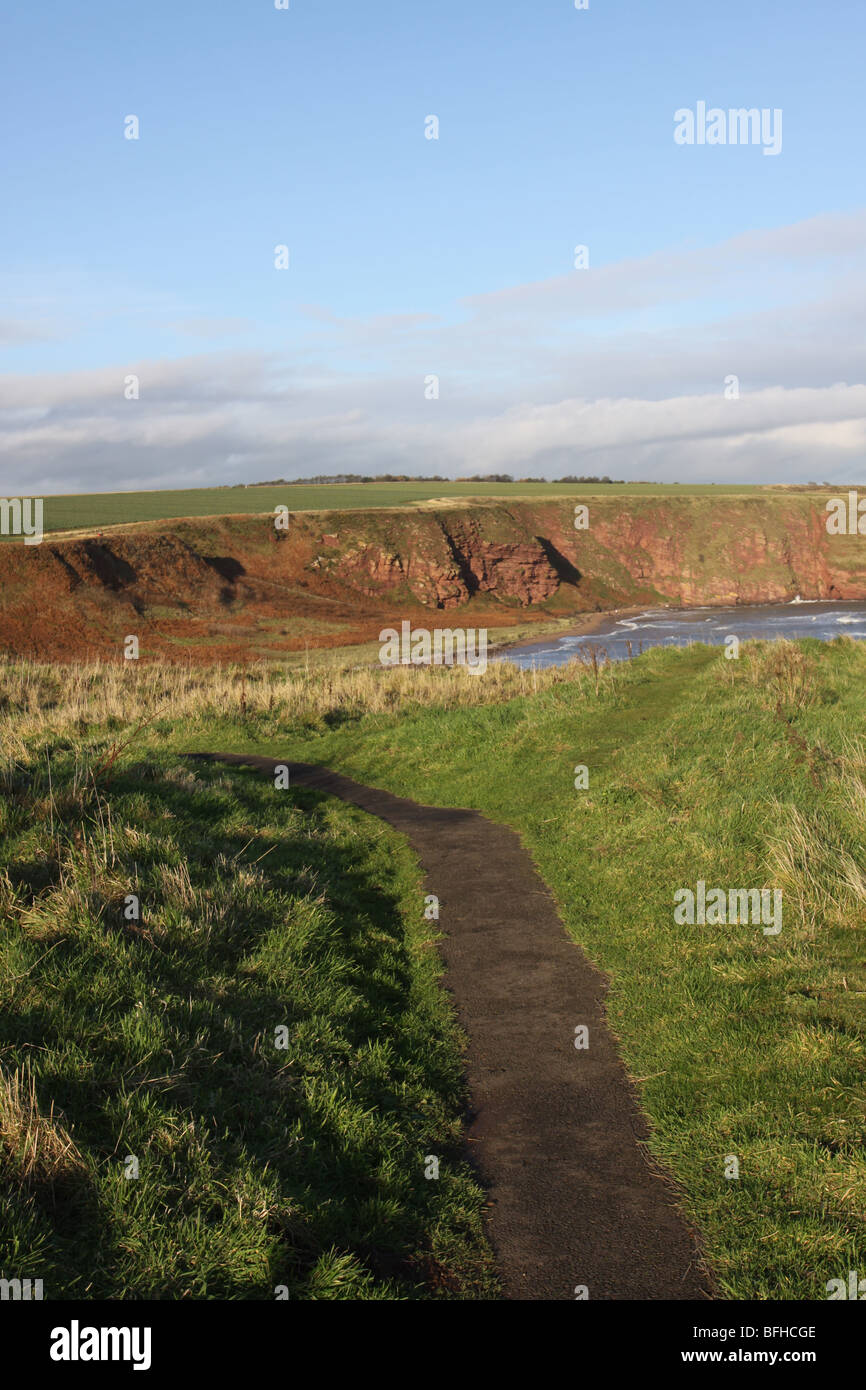 Sentier et falaises de grès rouge de Seaton Angus Scotland Novembre 2009 Banque D'Images