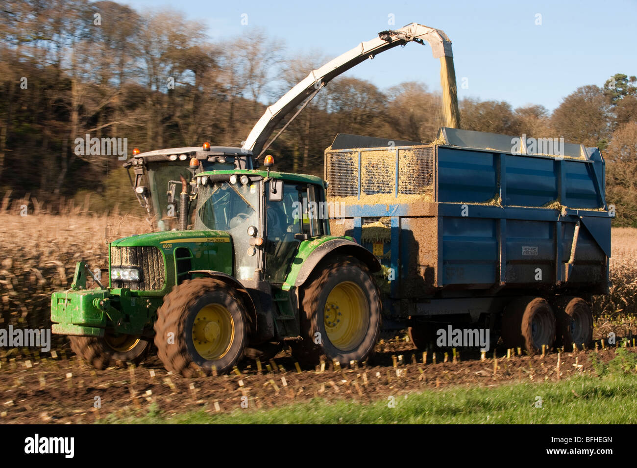 La récolte du maïs ensilage en utilisant un Claas l'ensileuse automotrice 970 Banque D'Images