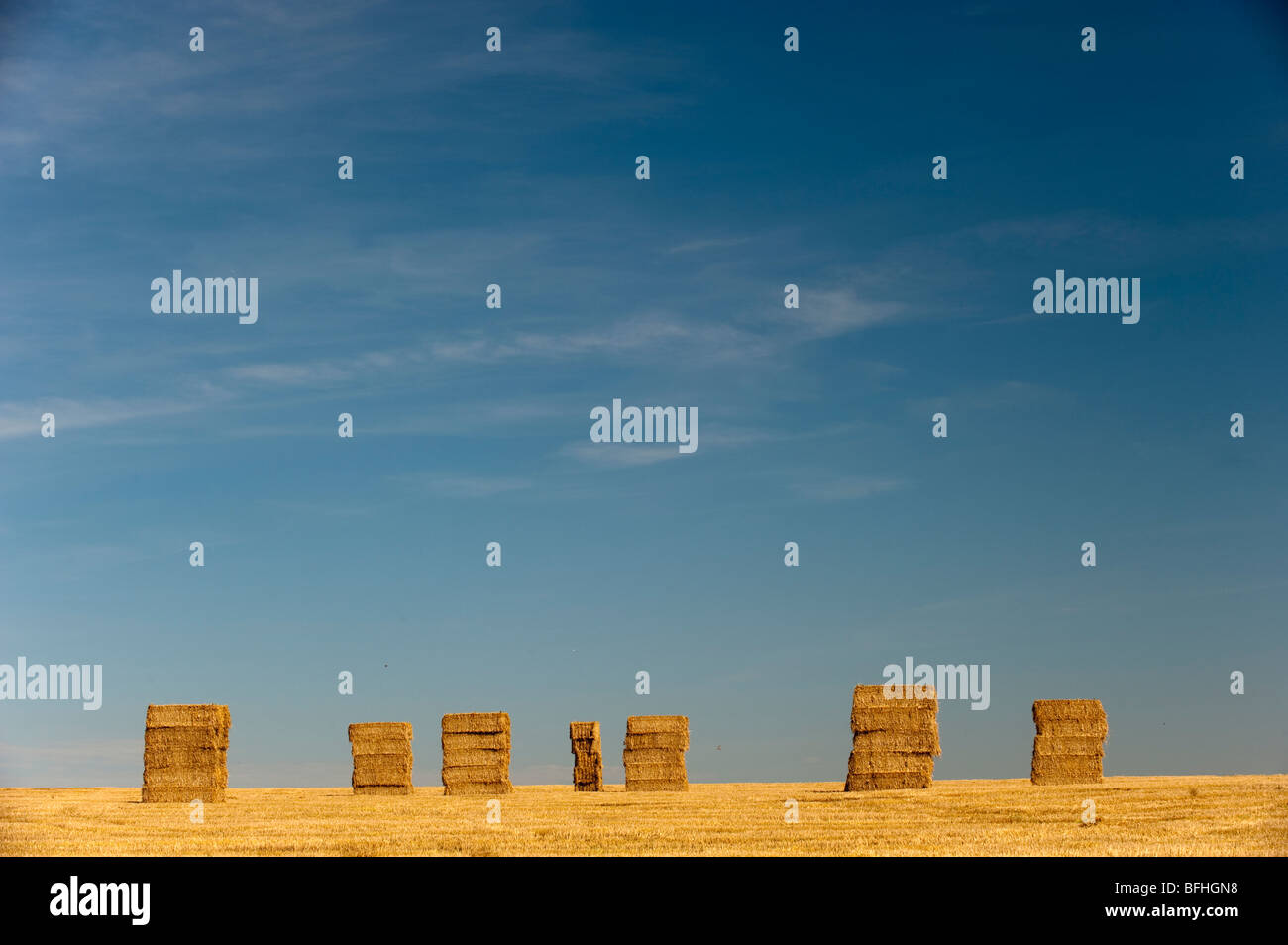 Gros ballots de paille empilés sur champ de chaumes. Banque D'Images