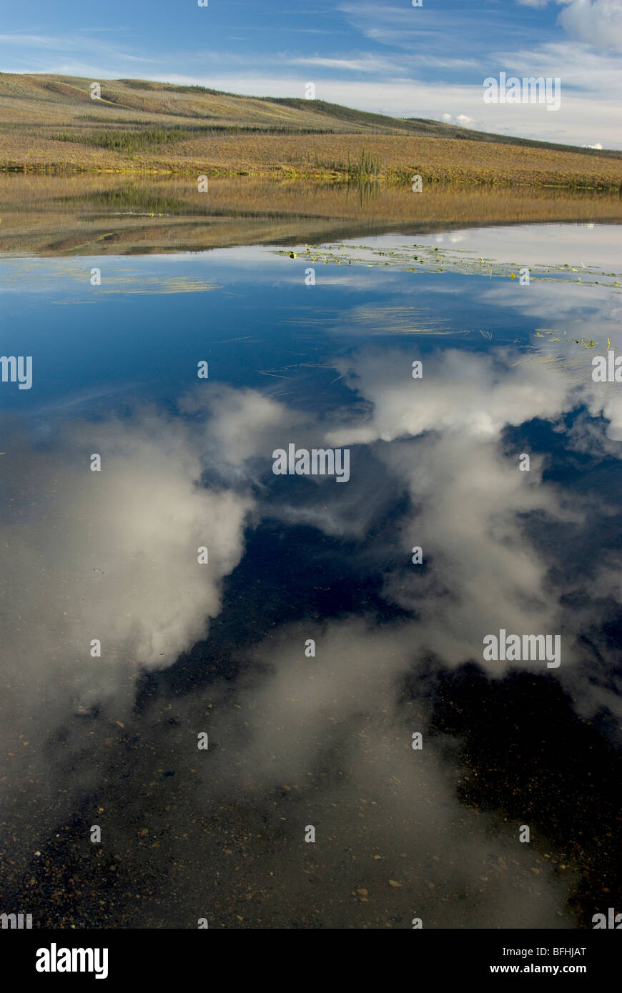 Scenic lac alpin de couleurs d'automne sur la montagne et nuages lointain reflet dans l'eau pure. Lac sans nom dans la région de Yukon Ter Banque D'Images