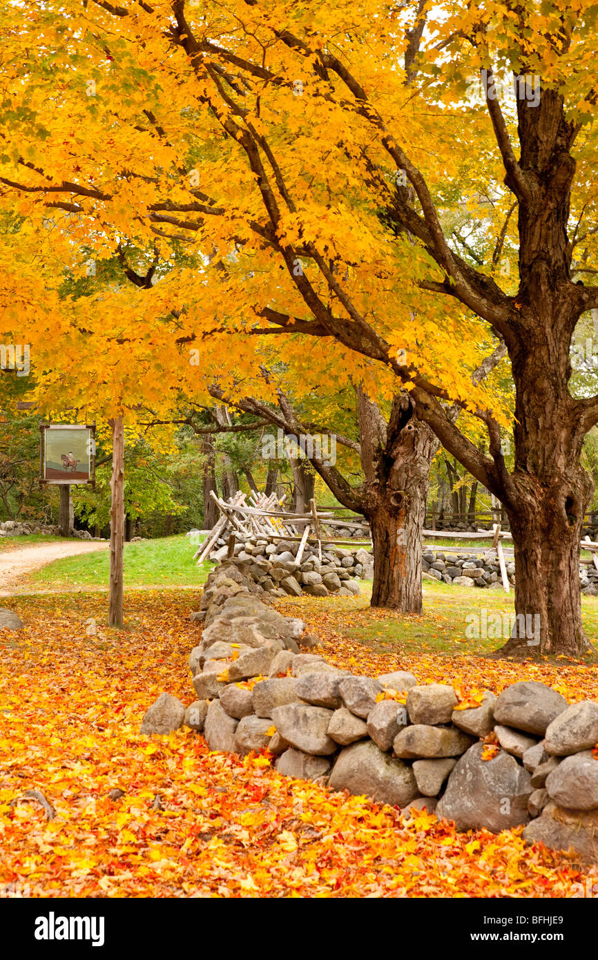 Voir l'automne de la célèbre bataille route entre Lexington et Concord - Lincoln Massachusetts USA Banque D'Images