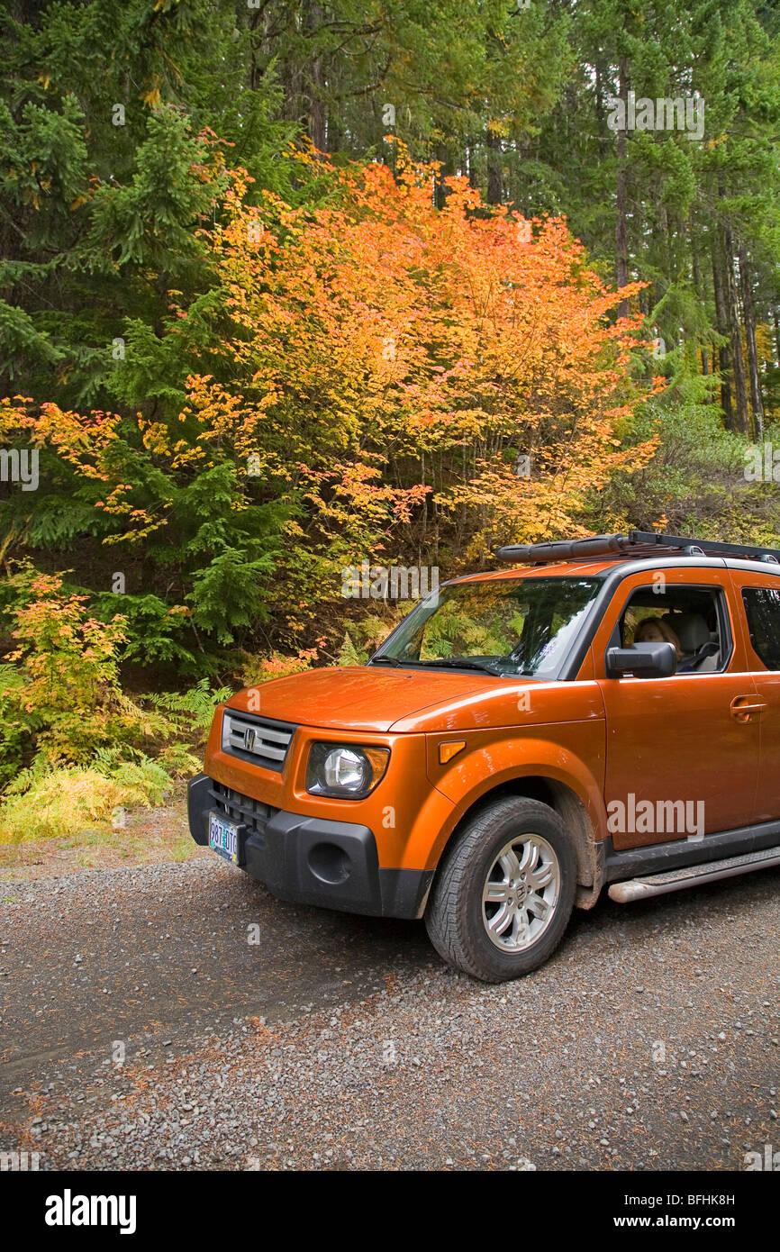Leaf peepers voir l'érable rouge et or tournant au cours de l'automne Octobre changement de couleur dans les Cascade Mountains de l'Oregon Banque D'Images
