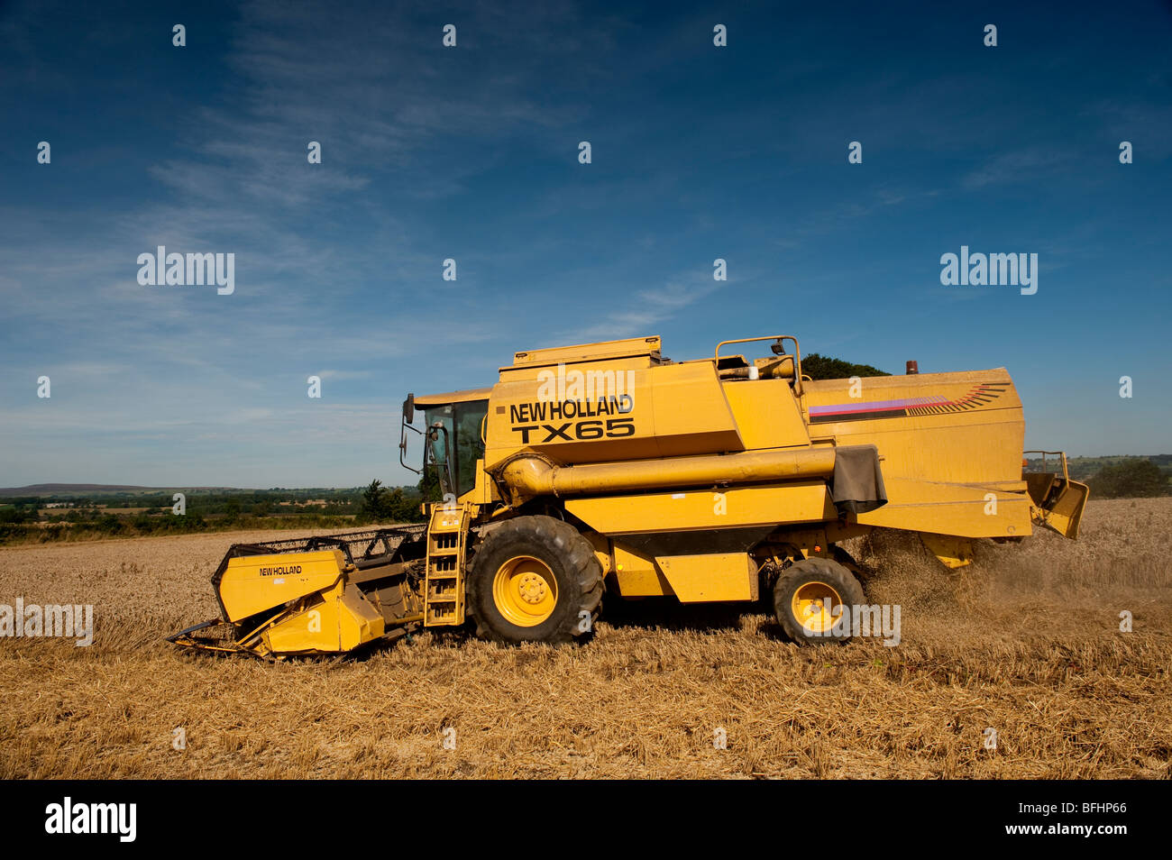 Récolte de blé avec une moissonneuse-batteuse New Holland Banque D'Images