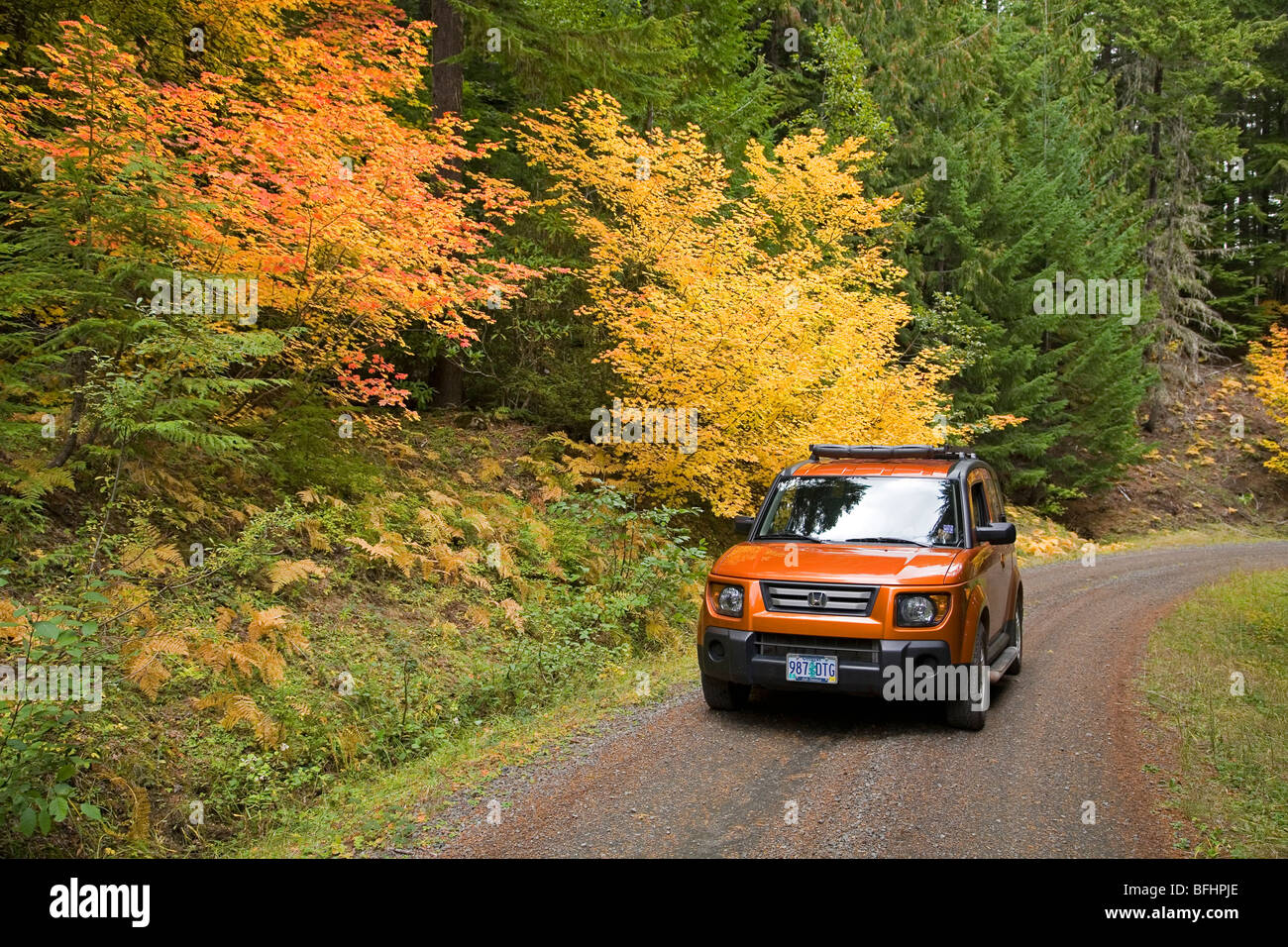 Leaf peepers voir l'érable couleur tournant au cours de l'automne octobre changement de couleur dans les Cascade Mountains de l'Oregon Banque D'Images