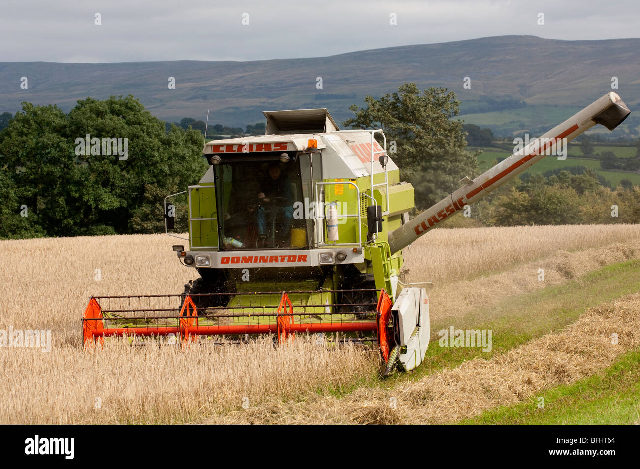 Moissonneuse-batteuse Claas comining l'orge de printemps. Banque D'Images