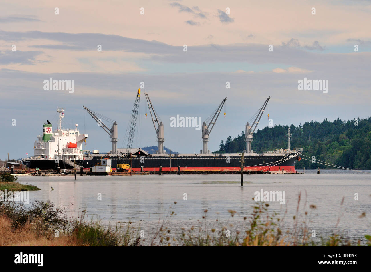 Freighter, 'Ocean' Indogo Chargement des consommables tout en à quai dans la baie de Cowichan (Colombie-Britannique). Banque D'Images