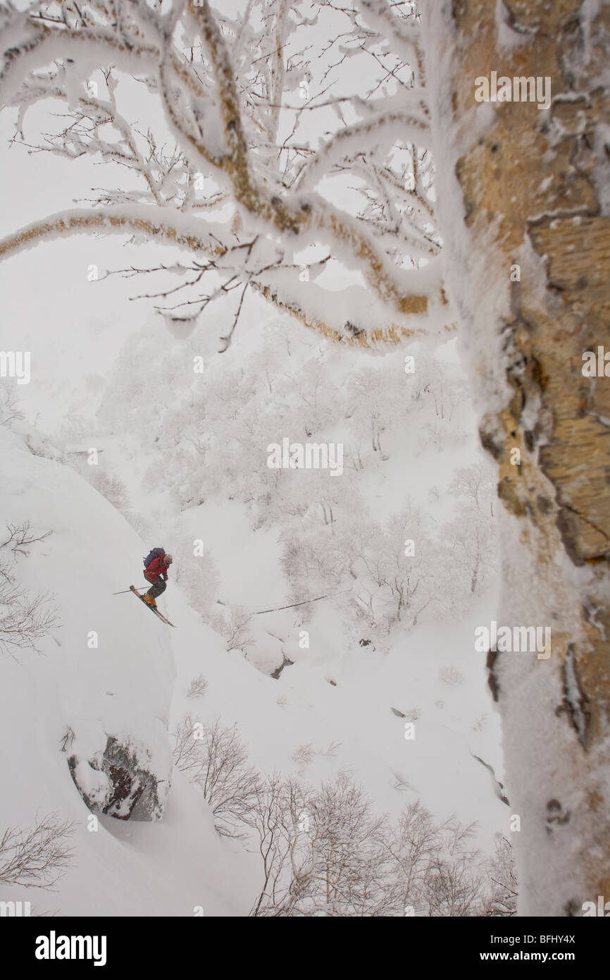 Un skieur dans les airs après avoir sauté d'une falaise dans l'arrière-pays Furanodake, Hokkaido, Japon Banque D'Images