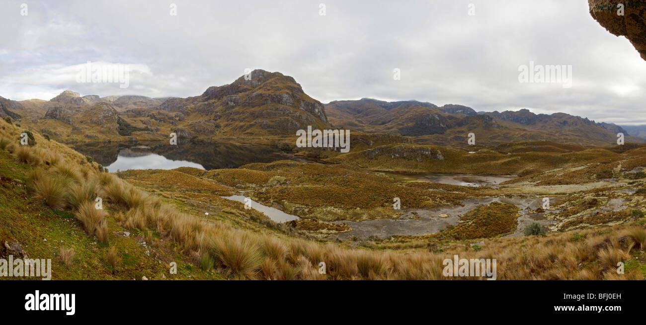 Une vue panoramique du Parc National Cajas près de Cuenca, Equateur. Banque D'Images