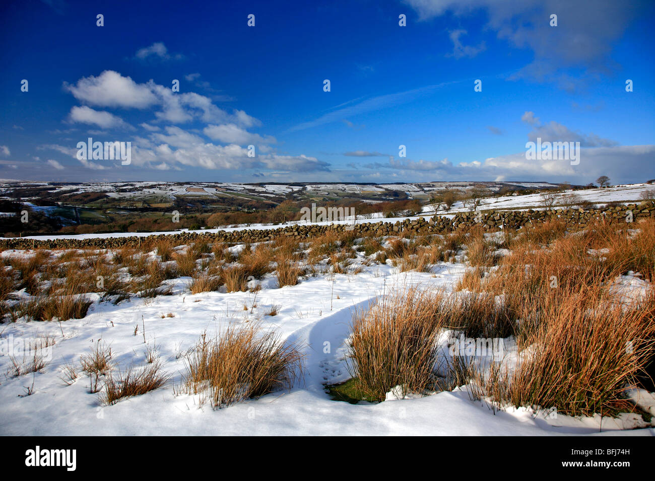 Hiver neige Goathland Moor Parc National des North Yorkshire Moors England UK Banque D'Images