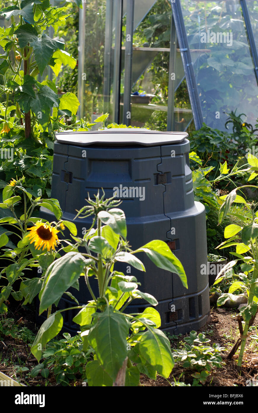 Bac à compost Banque D'Images