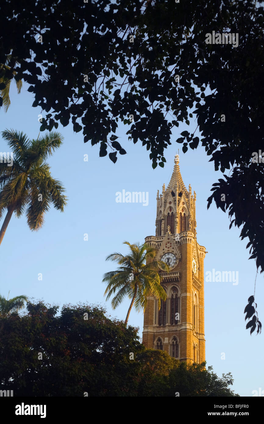 La Tour Rajabai . à l'université de Mumbai, Inde Banque D'Images