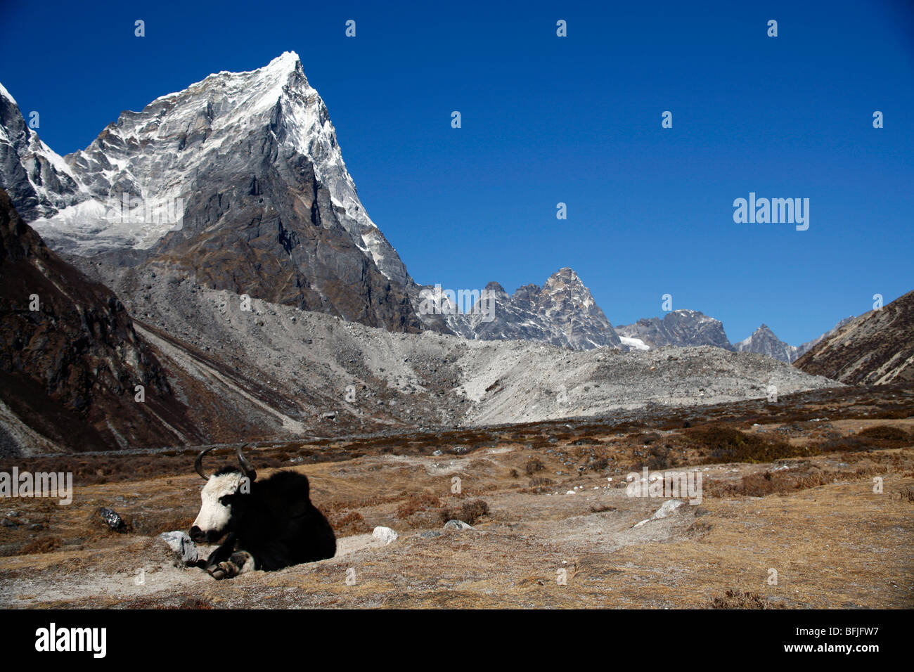 trek au Népal Banque D'Images trek au Népal Banque D'Images