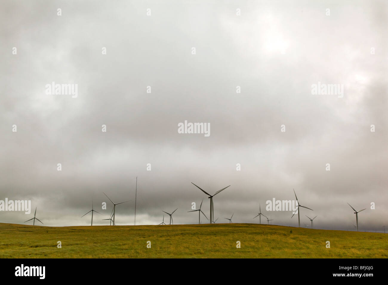 Le parc éolien sur Whitelee Eaglesham Moor, près de East Renfrewshire, en Écosse. Banque D'Images