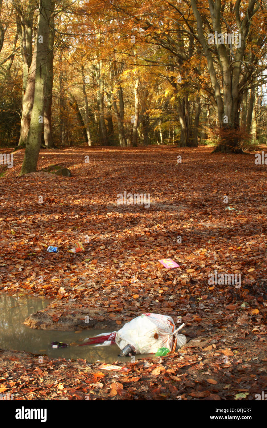 L'abandon de détritus dans les bois près de Downley Le de Spencers Arms, High Wycombe, Buckinghamshire, Royaume-Uni Banque D'Images